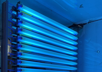 如何通過UV紫外光照實驗箱構建動物皮膚光老化模型？