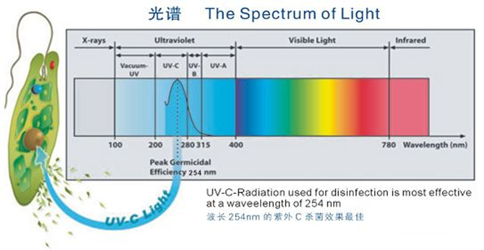 科普！紫外線(xiàn)殺菌燈對(duì)人體影響及正確使用方法